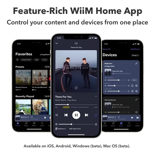 Receptor De Áudio Wifi Wiim Pro Airplay 2 Google Cast Preto Negro