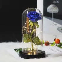 Comprar Flor Eterna Encapsulada Grande Con Luz Led
