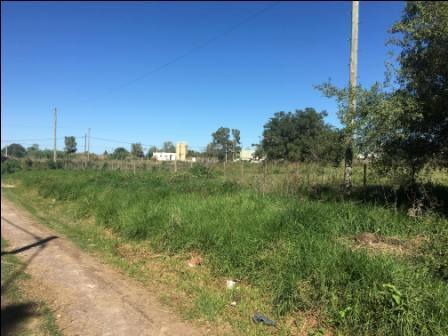 Imagen 3 de 5 de Terreno En Venta En San Juan Bautista