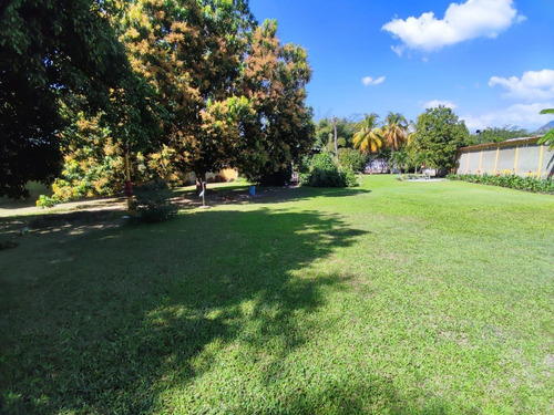 Imagen 8 de 14 de Se Vende Parcela En Turmero 04128901630