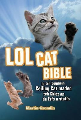 Lolcat Bible : In Teh Beginnin Ceiling Cat Maded Teh Skiez A