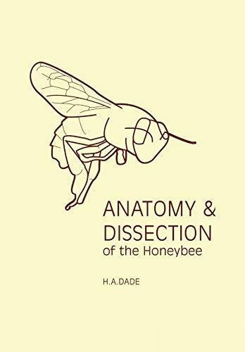 Anatomy & Dissection Of The Honeybee, De H.a. Dade. Editorial International Bee Research Association, Tapa Blanda En Inglés
