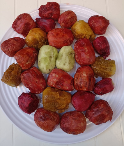 500 Semillas Nopal Tunero Mas De 7 Variedades, Nv