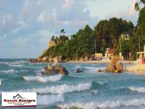 Imagem 8 de 14 de Terreno Em Malhadas No Asfalto Perto De Praia Do Forte - 504t2 - 3412420