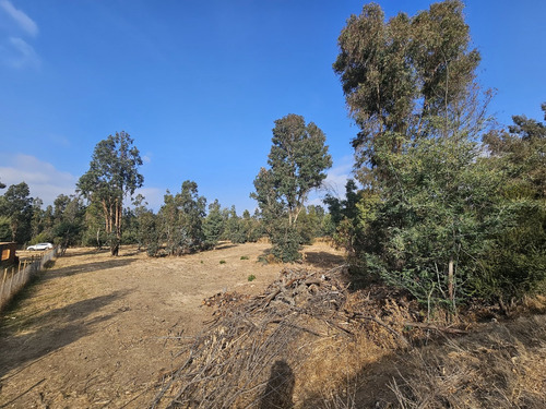 Vendo Sitio De 5580 M2 En Queronque Los Laureles Limache.