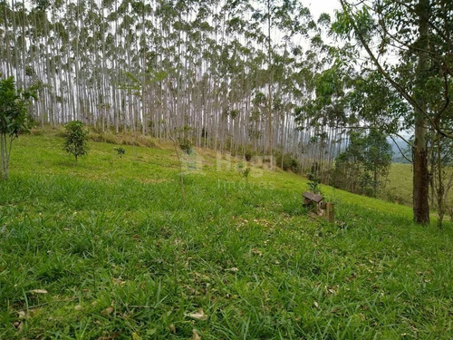 Imagem 21 de 26 de Chácara À Venda No Bairro Braço Do Rio Camboriú - Camboriú/sc - 1913c