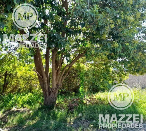 Imagen 2 de 5 de Lote De 200m2
