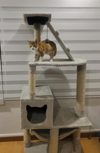 Gimnasio Para Gatos - Kg a $305000