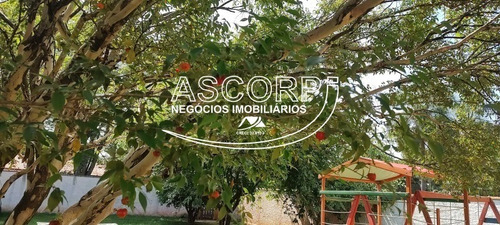 Imagem 10 de 30 de Linda Chácara No Bairro Dois Córregos (código Ch00053) - Ch00053 - 70640034
