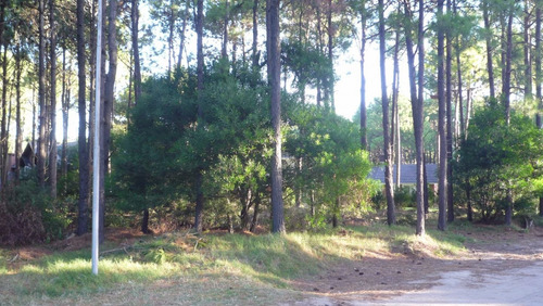 Imagen 5 de 6 de Lote En Venta - Zona Norte Tennis / Ref: 1409