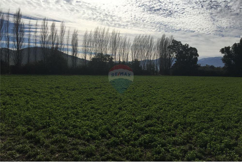 Oportunidad Parcela Camino Tierra Linda