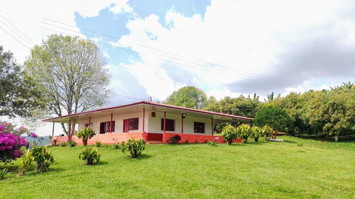 Finca Para Agroturismo En Venta Salento