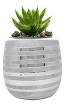 Comprar Maceta Cerámica Deco Diseño Plantas Suculentas