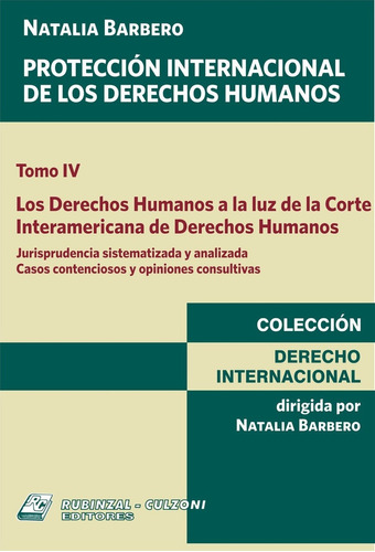 Proteccion Internacional De Los Derechos Humanos. Tomo 4 - B