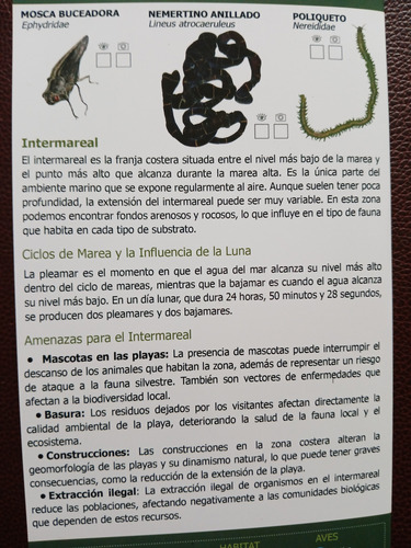 Intermareal/bosque Esclerofilo/templado/rocas-minerales.pack
