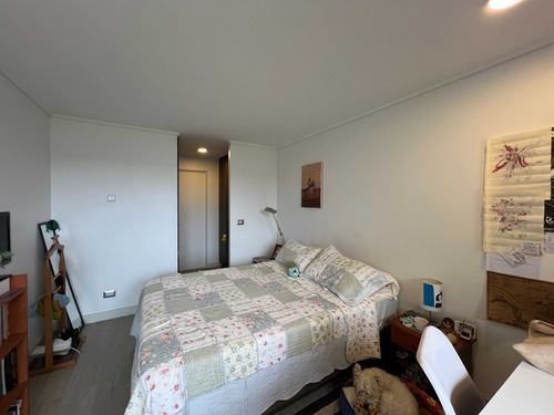 Arriendo Amoblado En El Centro De Puerto Vara (26384)