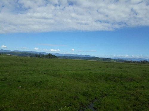 Imagem 14 de 18 de Fazenda À Venda, 63000 M² Por R$ 2.500.000,00 - Campo Bonito - Torres/rs - Fa0002