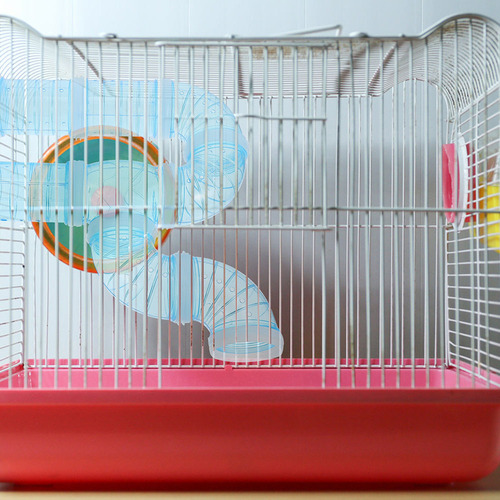Tubería Para Hámsteres Hamster Maze Tunnel