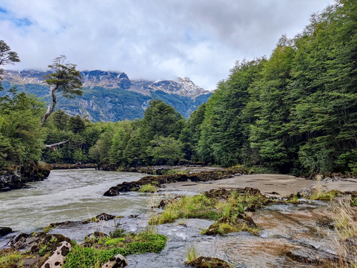 Campo De 297 Hectáreas Cercano A Cerro Castillo Con Río