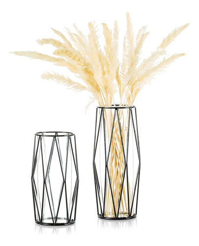 Glasseam Black Pampas Grass Vase, Set De 2 Modernos Jarrones