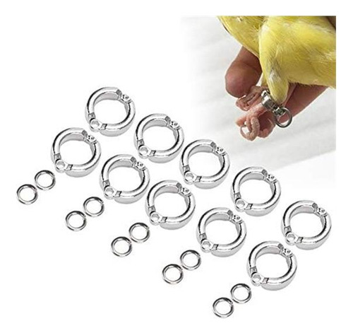 Lorodis Loros Hebilla De Pie, Loros De Acero Inoxidable De
