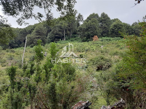 Imagen 27 de 30 de Agrícola En Venta En Aisén