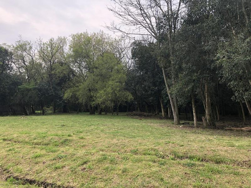 Terreno - Villa Elisa