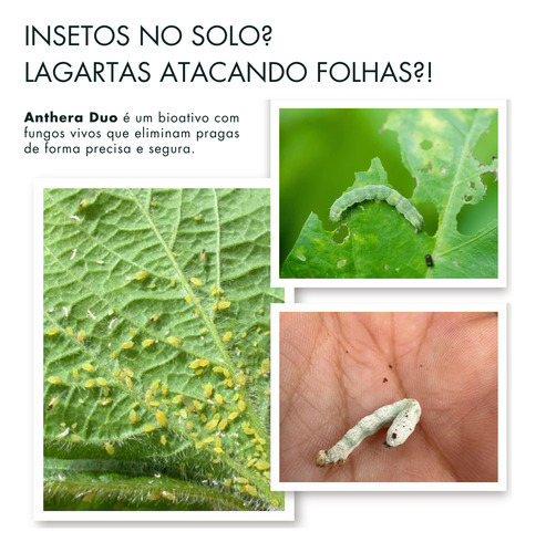 Fórmula Natural Para Pragas | Beauveria + Metarhizium 1litro