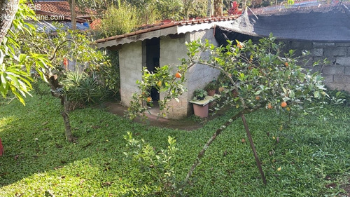 Imagem 25 de 27 de Chacara - Ch00107 - 69526425