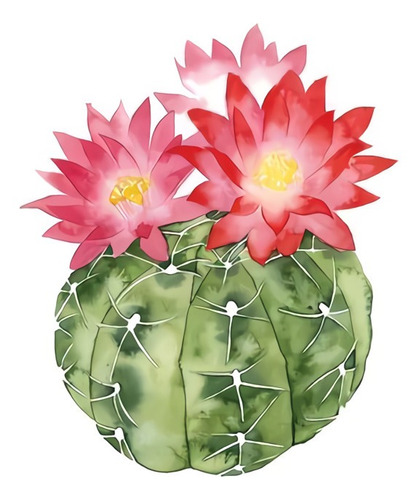 Cuadro 20x20cm Cactus Con Flores Colores Art Dibujo Flower