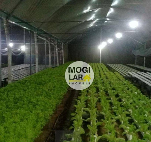 Imagem 5 de 7 de Chácara Com 2 Dormitórios À Venda, 24200 M² Por R$ 1.300.000,00 - Jardim Margarida - Mogi Das Cruzes/sp - Ch0005