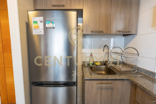 Imagen 8 de 15 de Departamento En Venta Edificio Matiz