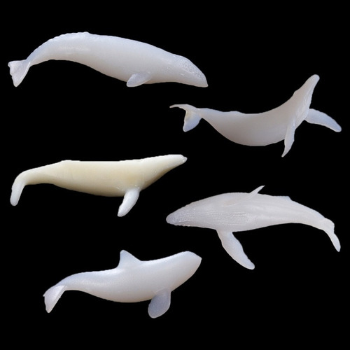 Molde De Resina De Modelado De Ballena Mini Para El Océano,