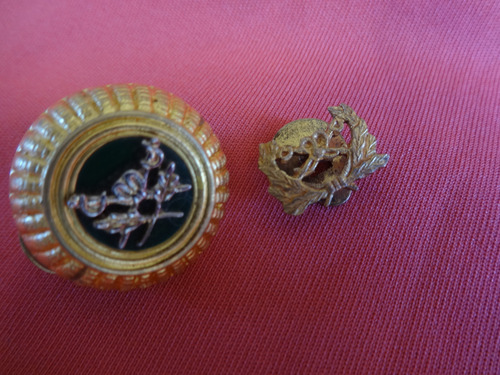 2 Militaria Pin Antiguo Escudo Gendarmeria Nacional Metal (Usado)