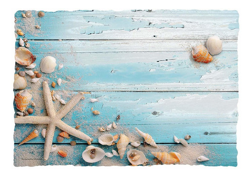 Hoffmaster Seaside By The Seashore Beach Seashells Mantel 50