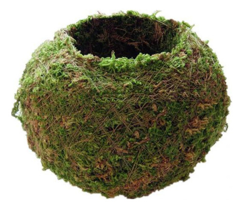 Liuyiyi Maceta De 3 Bolas Er Para Bonsái, 18 Cm