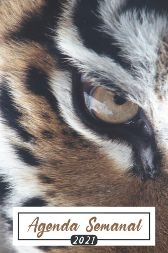 Agenda Semanal 2021 Tigre: Agenda Semanal De Un Año Enero 20