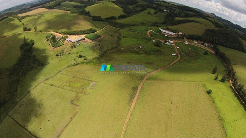 Imagem 4 de 15 de Fazenda - Zona Rural - Ref: 4755 - V-mta4755