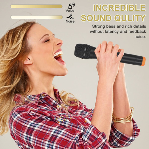 Micrófono Inalámbrico Dual Uhf Recargable Para Karaoke Negro