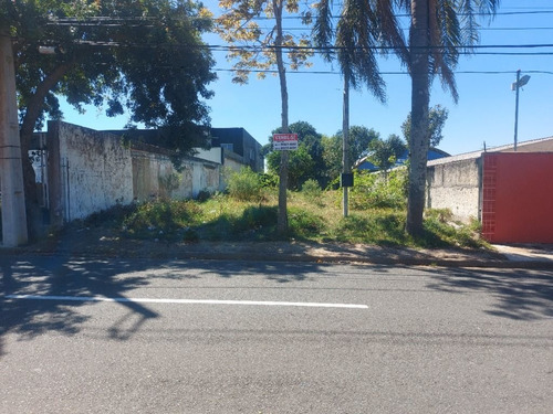 Imagem 14 de 17 de Terreno À Venda, 484 M² Por R$ 530.000,00 - São Cristóvão - São José Dos Pinhais/pr - Te0267
