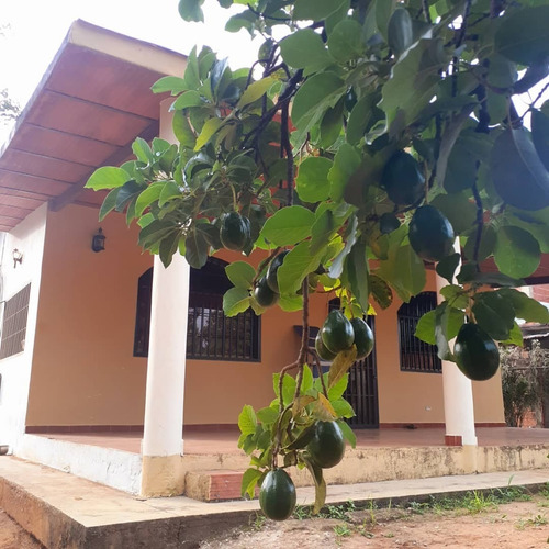 Imagen 2 de 12 de Se Vende Finca-casa Km