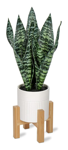 Briful 14'' Fake Snake Plant Home Decor Real Touch Faux Sans