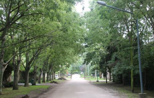 Imagen 2 de 15 de Chalet Con Gran Parque En Venta El Grosellar