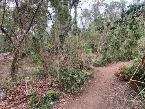 Terreno Construccion En Pucón