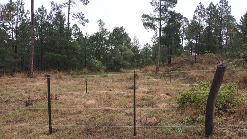 Lotes En Venta San Clemente Desde 1 Ha