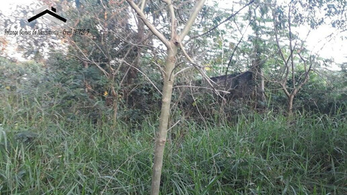 Imagem 8 de 15 de Terreno Com 6354m2 Na Granja Viana Em Cotia - 271