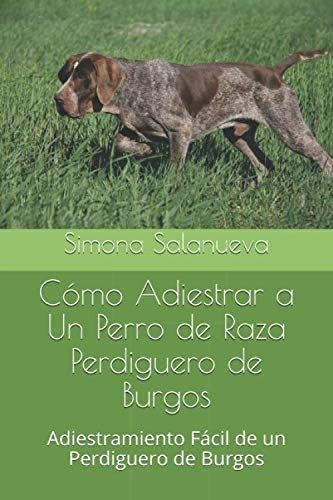 Libro: Cómo Adiestrar A Un Perro De Raza Perdiguero De Burgo