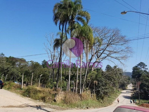Imagem 3 de 5 de Terreno Residencial À Venda, Jardim Das Lavras Mirim, Suzano/sp. - Te0124 - 68334521