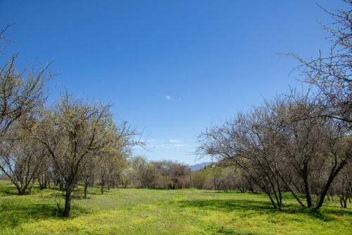 Venta Parcela En Limache, En Condominio Santa Teresa