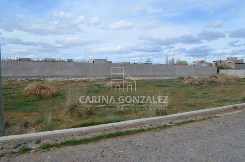 Imagen 10 de 16 de Venta Terreno 996m2 Apto Desarrollo Confluencia Rural Neuquén